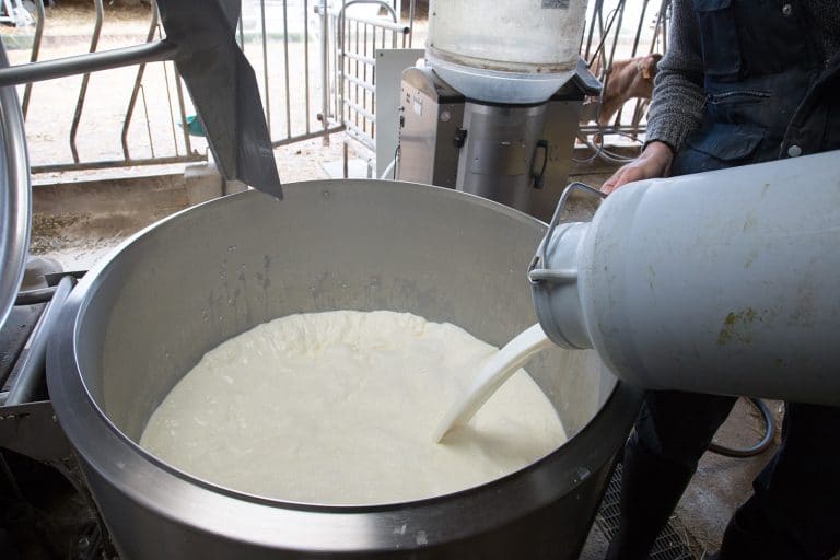 L&rsquo;aspect du lait, prédictif du germe ?