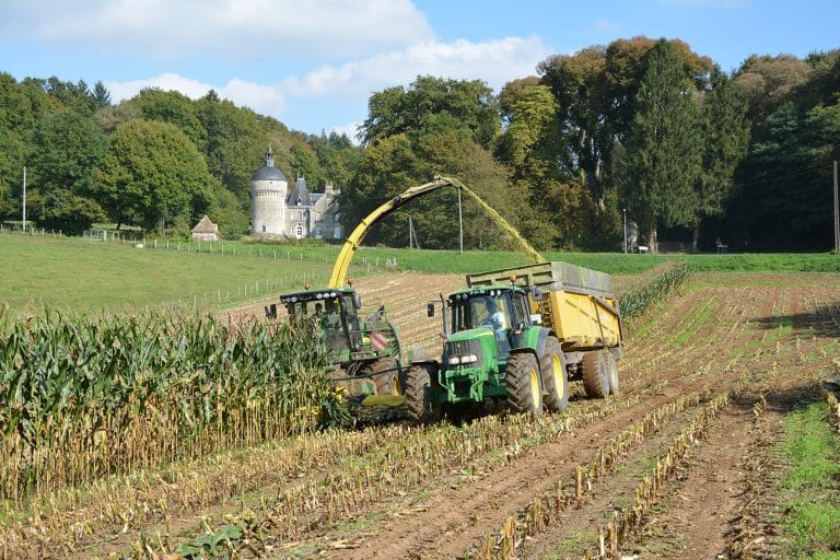 Ensilage maïs : quelle est la meilleure longueur de coupe ?