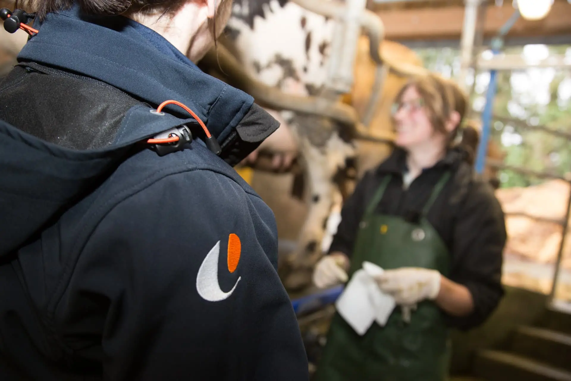 Conseiller Elvup en contrat Proxim