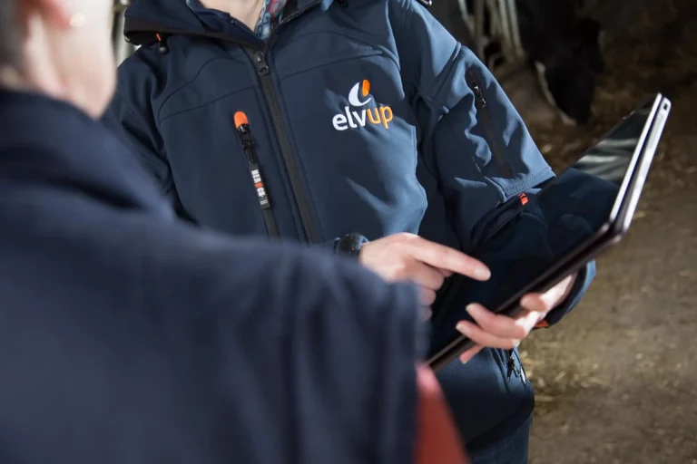Conseiller Elvup en contrat Pragma