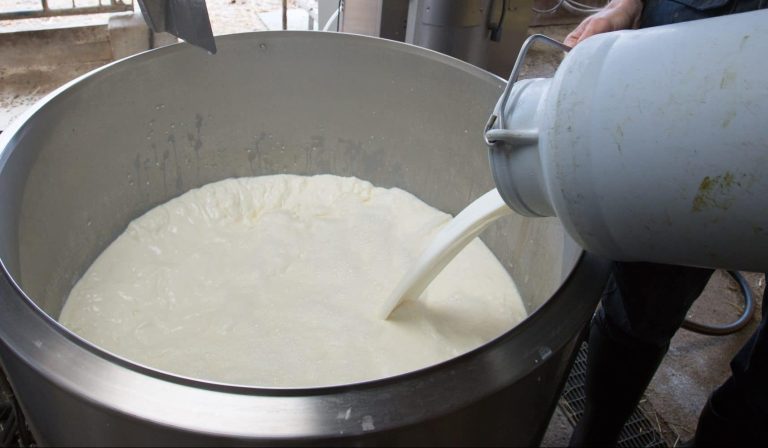 Résultats de la qualité du lait dans l’Orne