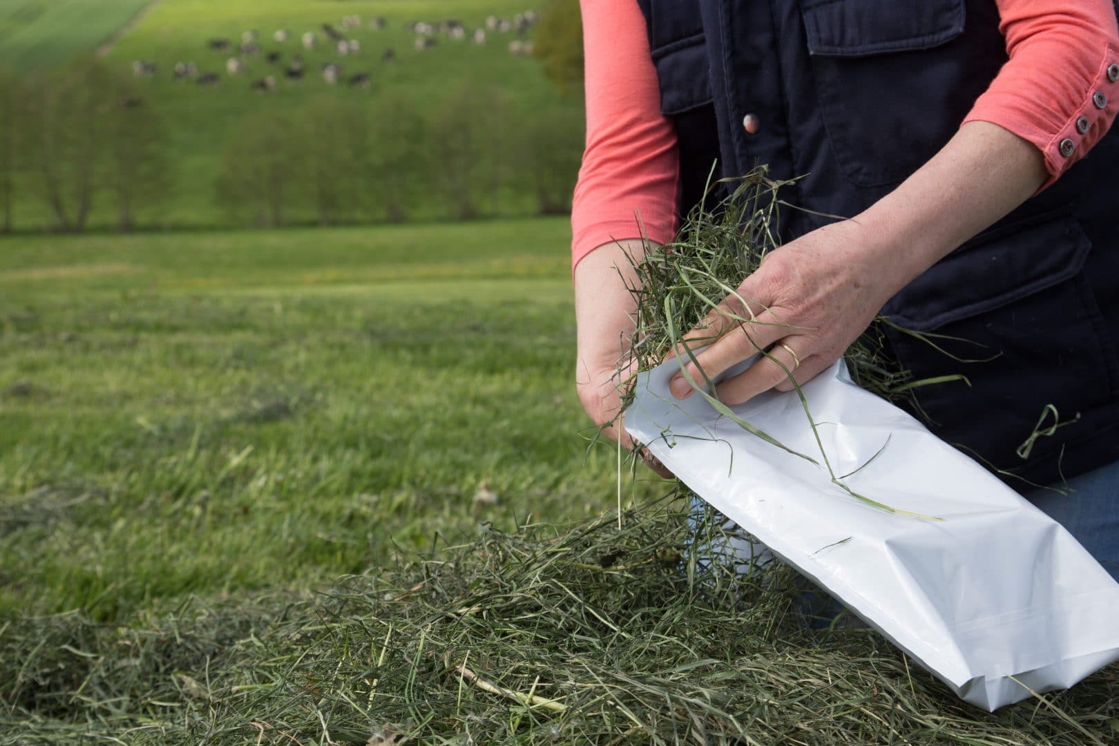 Récoltes d&rsquo;herbe et matière sèche