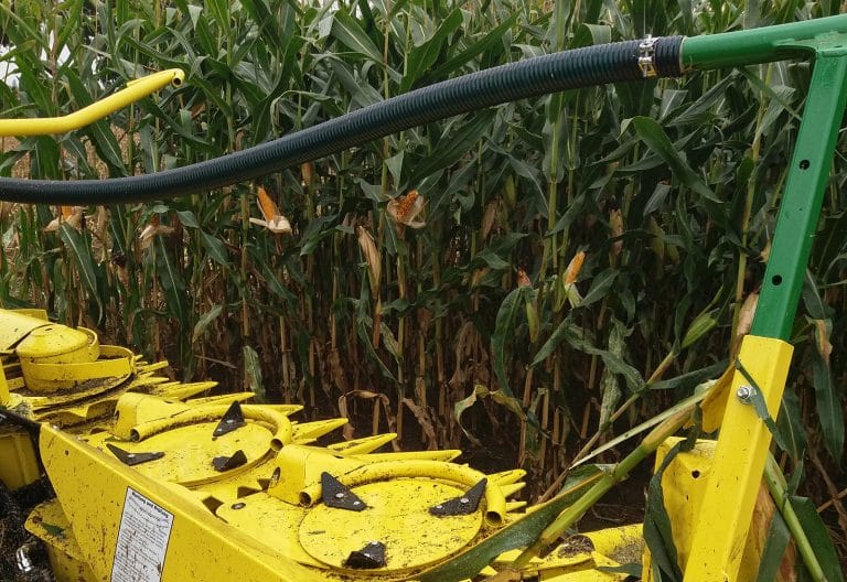 Réussir son ensilage de maïs