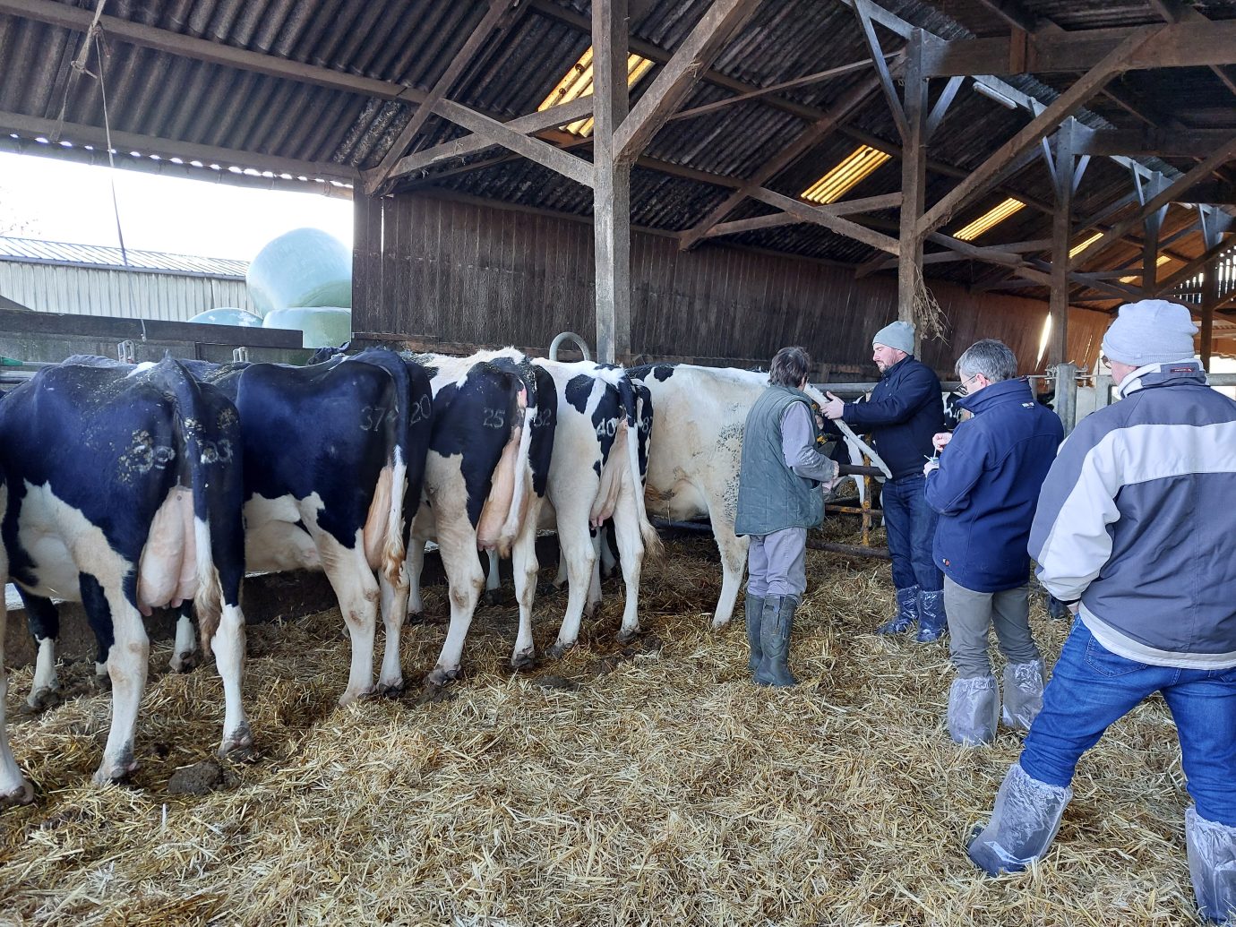 Formation groupe lait