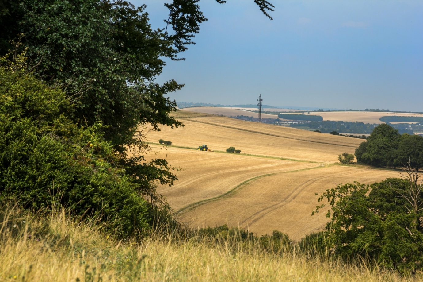Dérogations PAC - Taille des arbres et des haies agricoles, rotation des cultures et écorégime