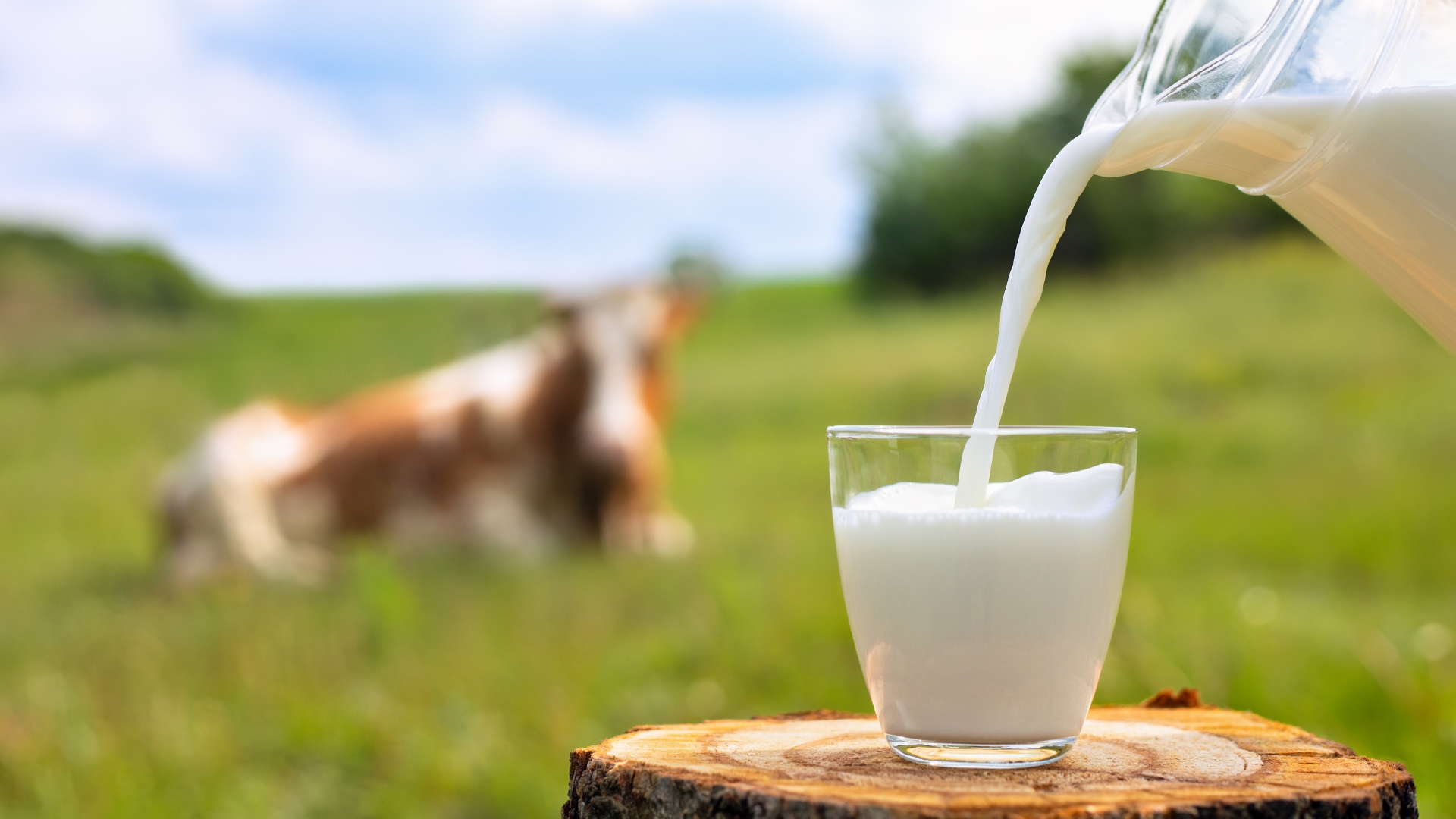 Bilan qualité du lait 2023