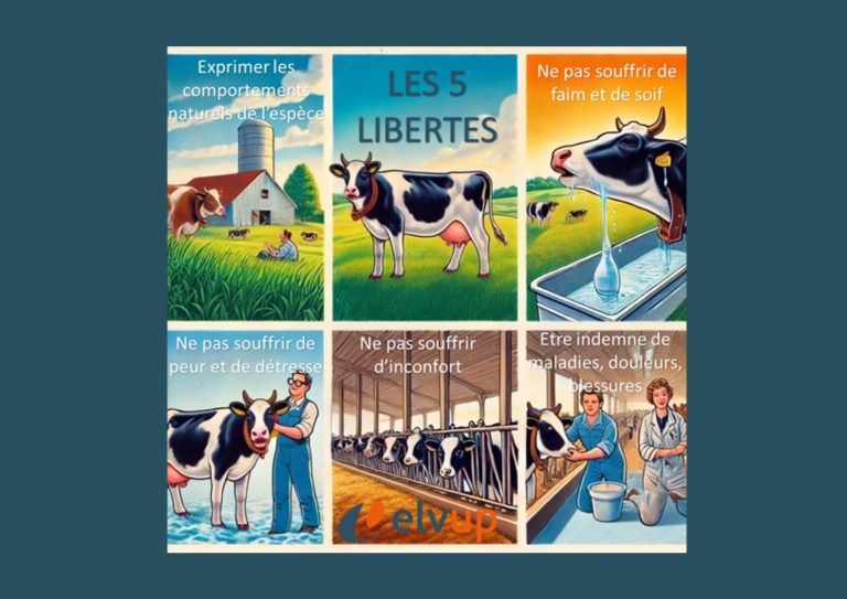 Elvup forme les référents bien-être animal
