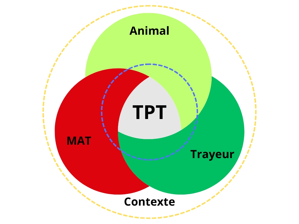 diag traite - tests