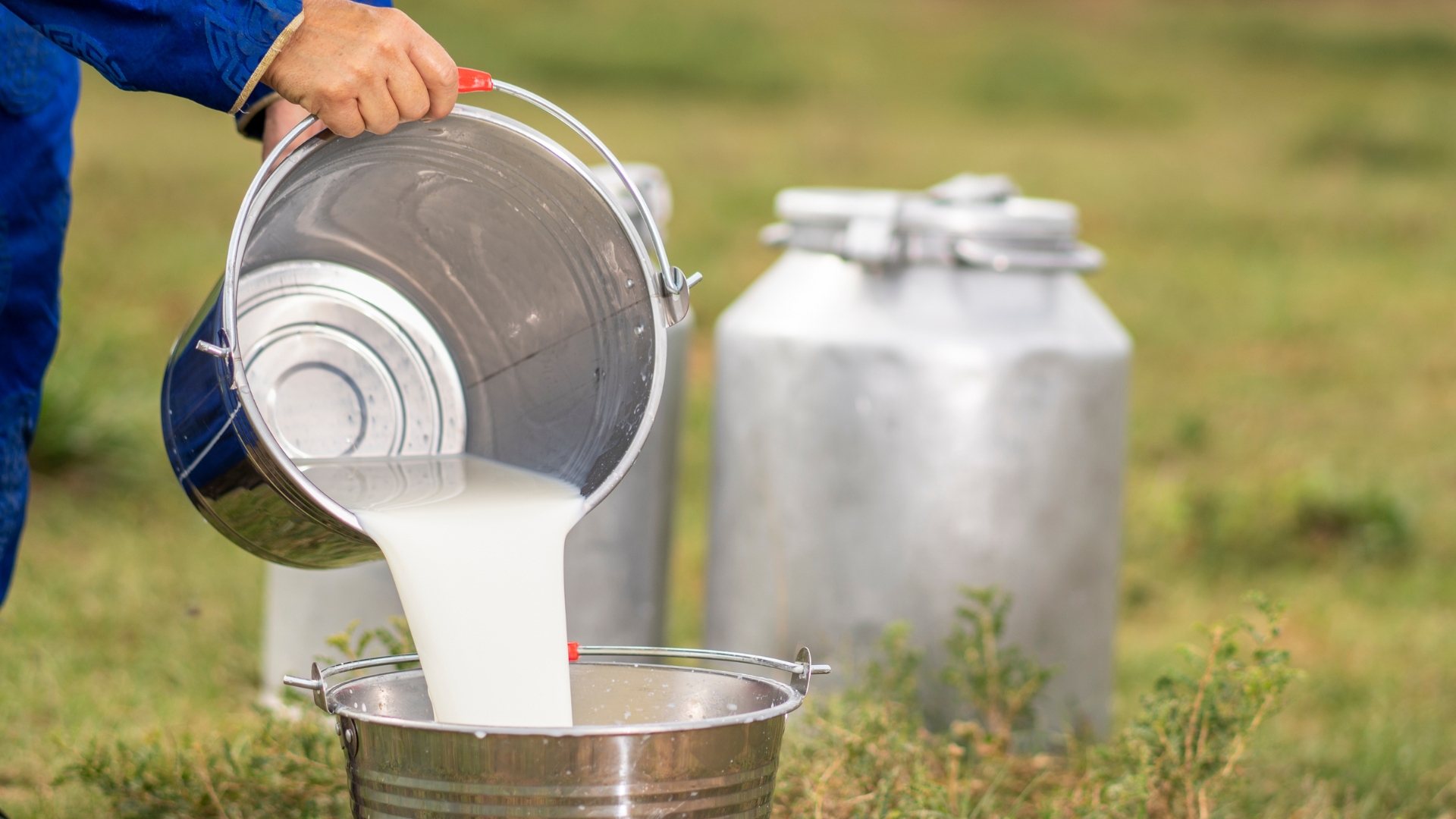 Bilan qualité du lait 2024