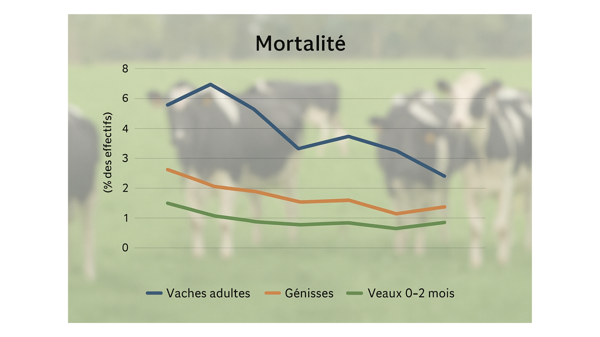 Nouveauté ELVUP – Zoom sur la mortalité