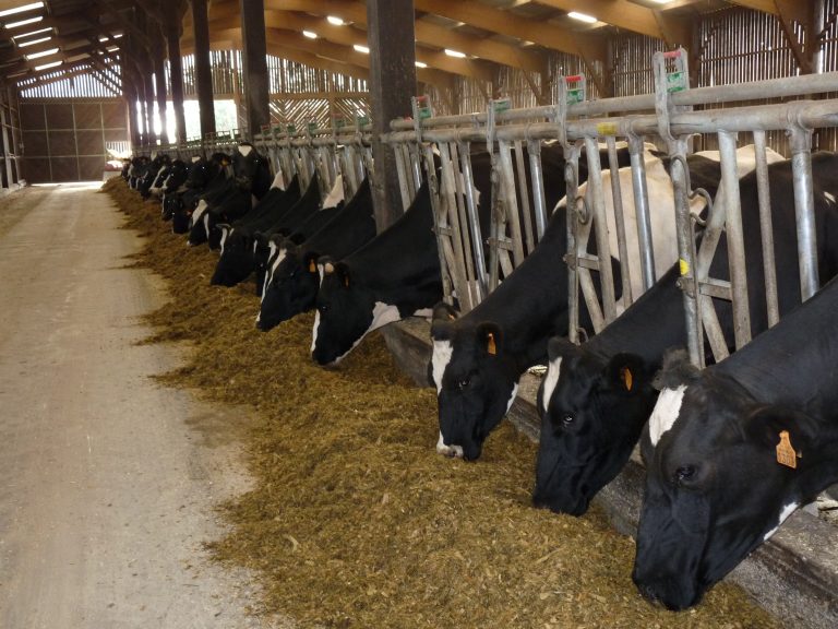 Sécurisez votre autonomie fourragère face au climat avec un CAS2E