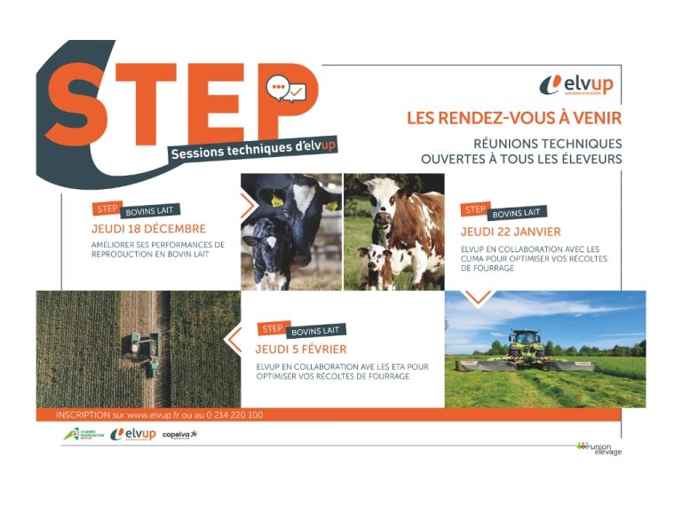 Sessions Techniques : les rendez-vous à venir !
