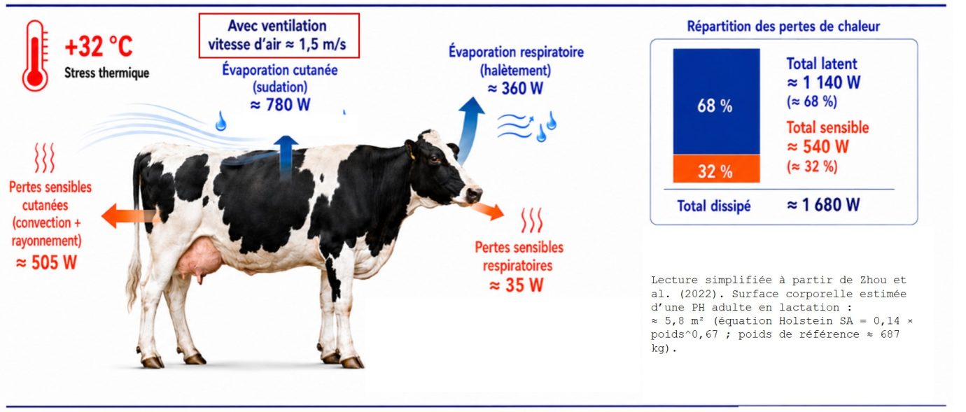 Thermolyse d'une VL quand l'air dépasse 32 degrés avec ventilation