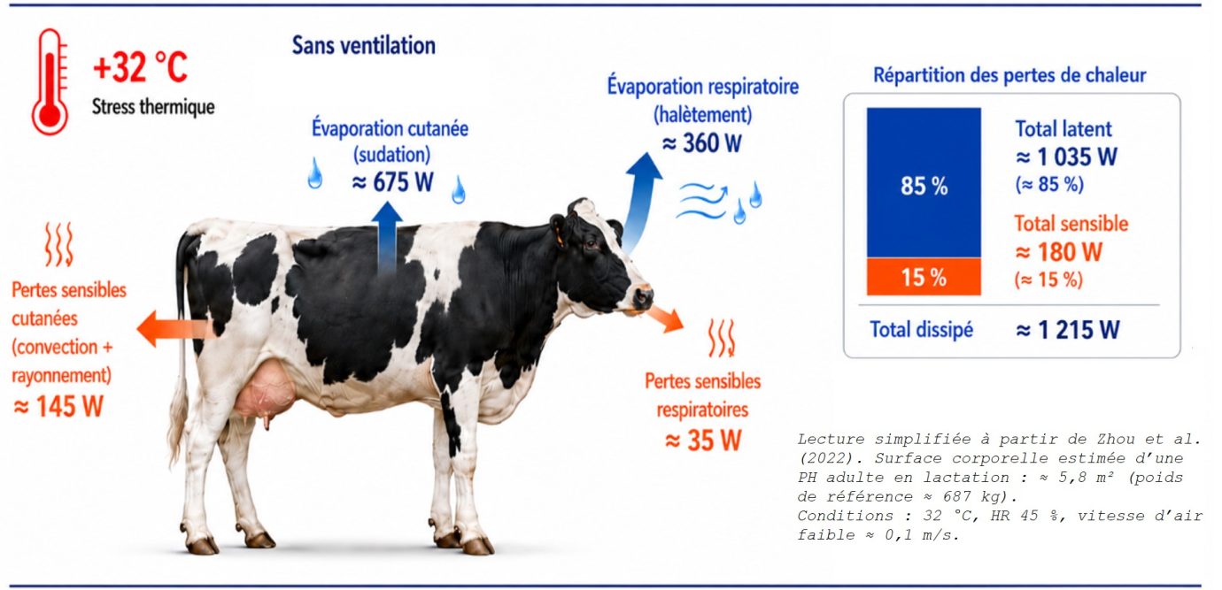 Thermolyse d'une VL quand l'air dépasse 32 degrés sans ventilation